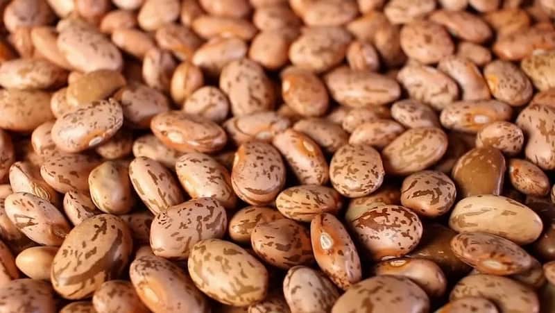 قیمت خرید لوبیا چیتی تازه دماوند + فروش ویژه